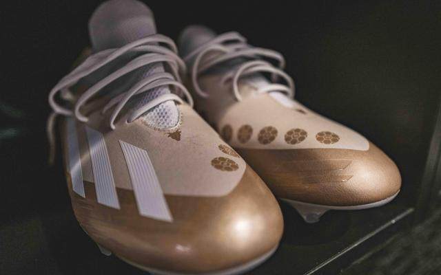 1699747117765006929.jpg tucao.jpg